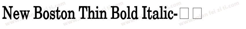 New Boston Thin Bold Italic字体转换
